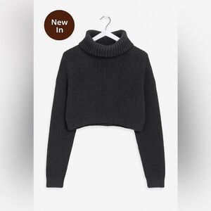 Forever 21 Gray Cropped Cozy Thick Turtleneck Sweater – Size Medium